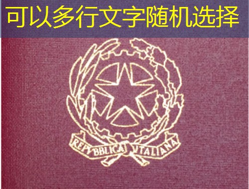 25万美元撬动欧亚跳板：土耳其护照移民公司如何帮你一步到位？